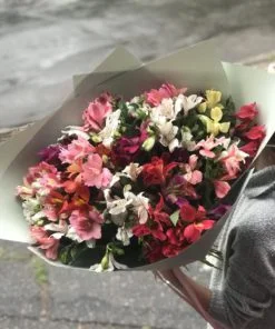 Букет з 51 гілки Альстромерій