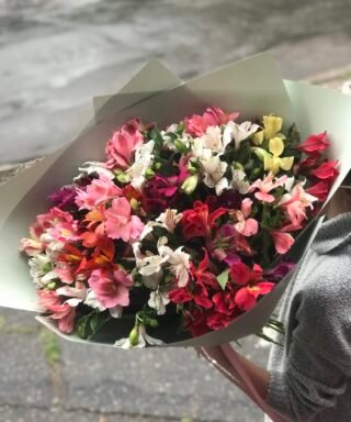 Букет з 51 гілки Альстромерій