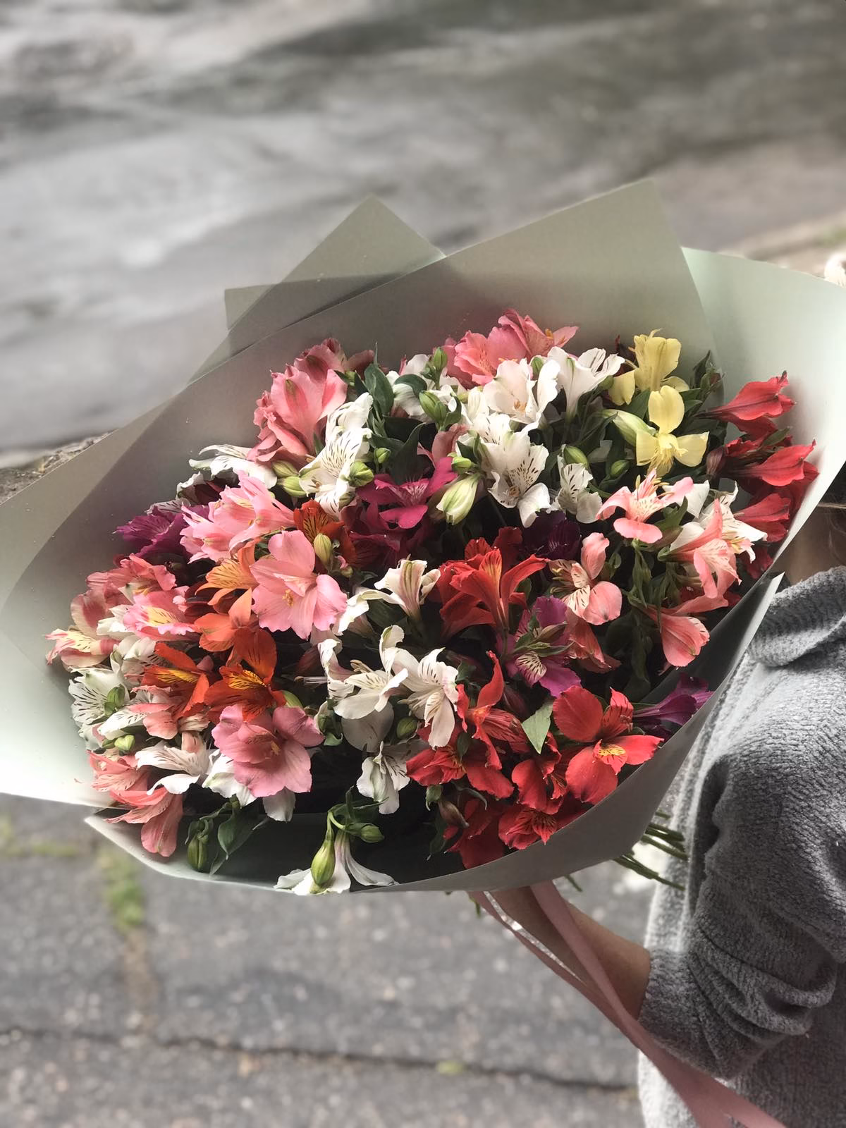 Букет з 51 гілки Альстромерій