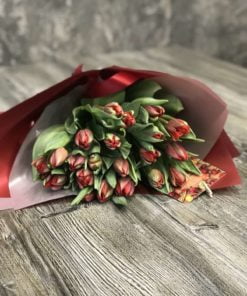 Букет из Пионовидных тюльпанов «Prominence»