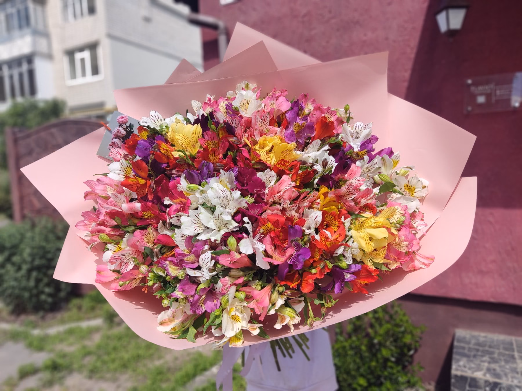 Букет из 101 ветки Альстромерий