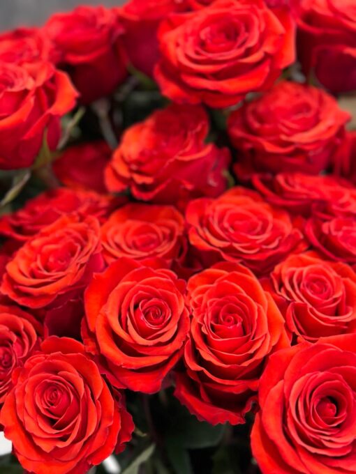 Букет з 41 червона троянда "Nina" Еквадор