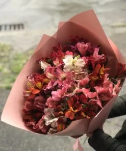 Букет из 21 ветки Альстромерий