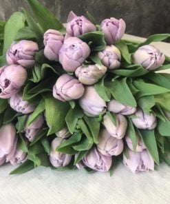 Букет из 15 или 25 пионовидных тюльпанов 