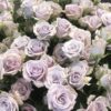 Букет из 25 или 45 веток кустовых роз 