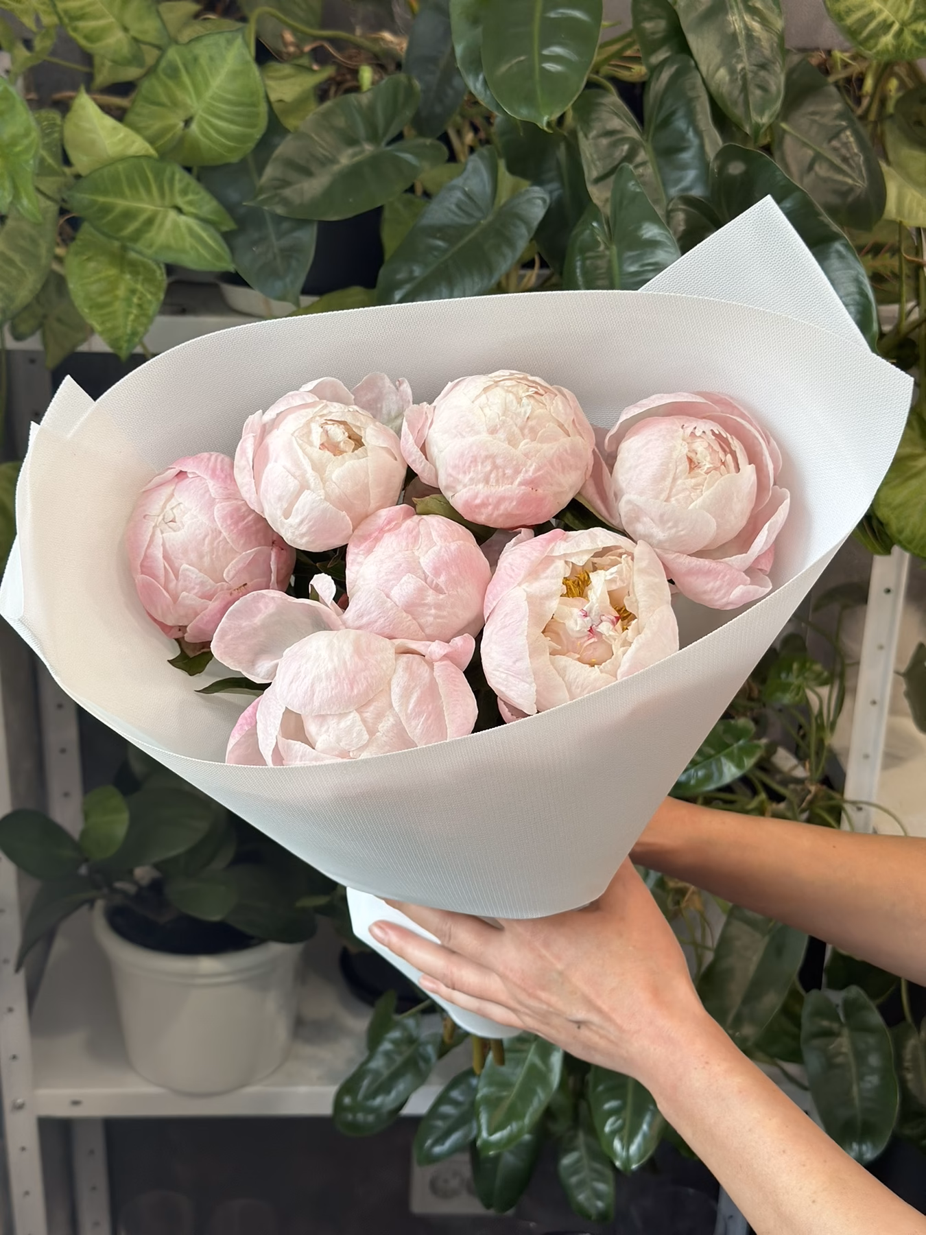 Букет з 7 або 9 Півоній "Gardenia"