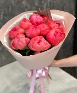 Букет з 7 Півоній "Coral Sharm"