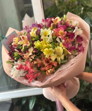 Букет з 25 гілок Альстромерій