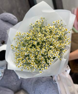 Букет з 15 гілок Польових Ромашок