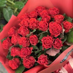 Букет з 25 червоних троянд "Ельторо" 50 см