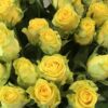 Букет з 15 або 25 жовтих троянд 