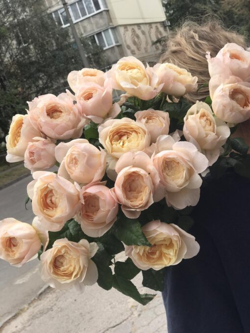 Букет з 7 або 11 піоноподібних троянд "Madam Gulya"