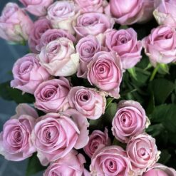 Букет з 25 або 55 рожевих троянд "Heidi"