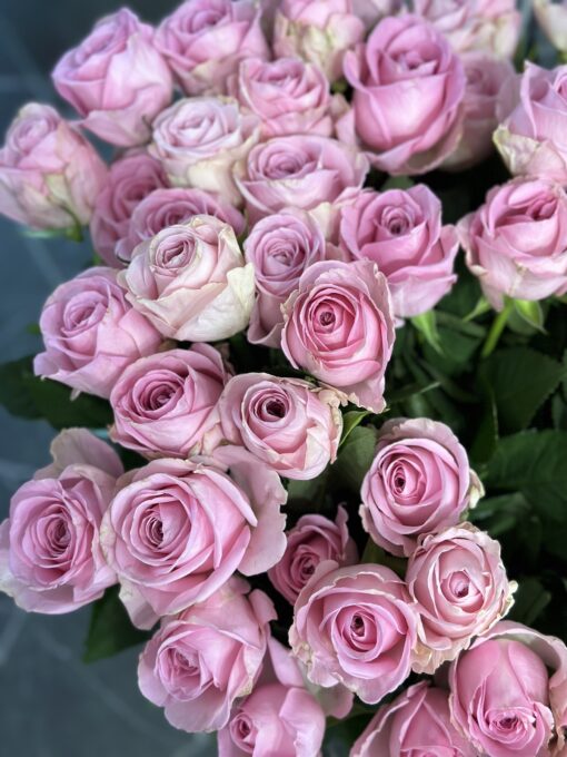 Букет з 25 або 55 рожевих троянд "Heidi"