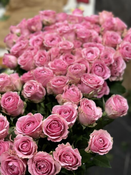 Букет з 35 або 55 рожевих троянд "Wham"