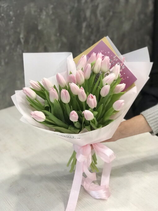 Букет з 25 ніжно-рожевих тюльпанів