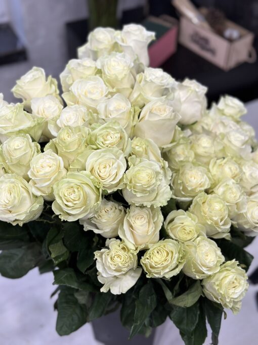 Букет з 25 або 45 білих троянд "Mondial" Еквадор 60см