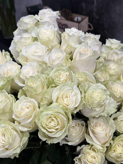 Букет з 25 або 45 білих троянд "Mondial" Еквадор 60см