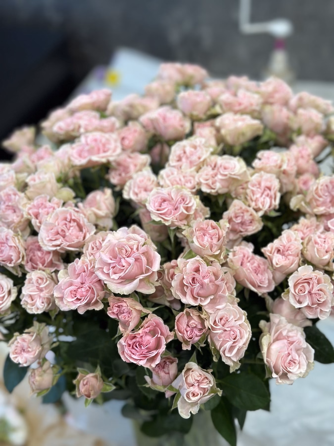 Букет з 9 або 15 гілок кущових троянд "Sweet Flow"