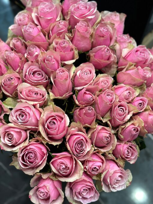 Букет з 51 троянди "Athena Royal" 70 см