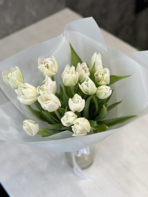 Букет з 15 або 21 піоновидних білих тюльпанів