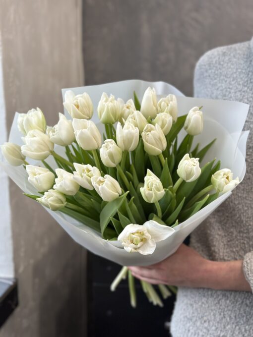 Букет з 25 піоновидних білих тюльпанів