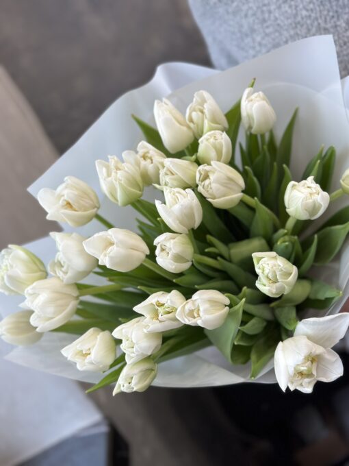 Букет з 35 піоновидних білих тюльпанів