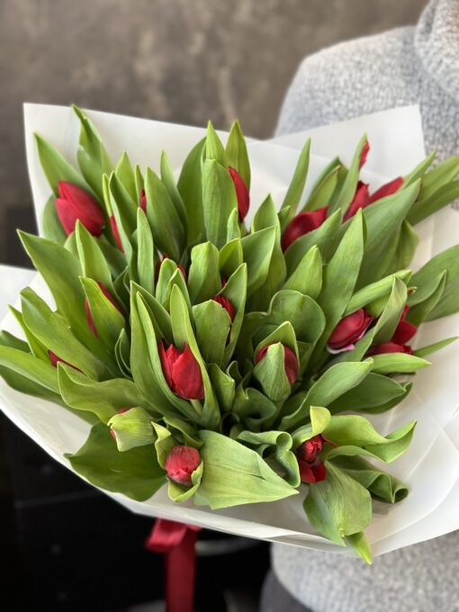 Букет з 35 червоних тюльпанів