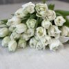 Букет з 35 піоновидних білих тюльпанів