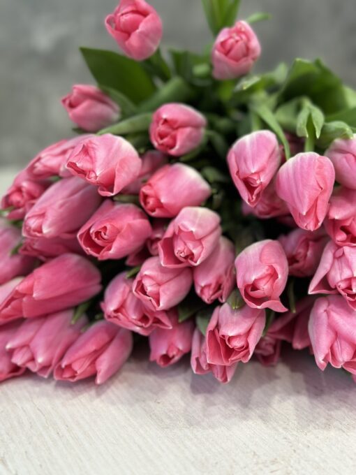 Букет з 51 або 101 рожевих тюльпанів «Dynasty»
