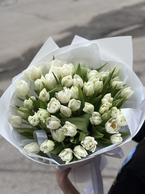 Букет з 55 піоновидних білих тюльпанів