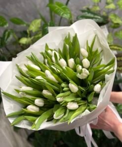 Букет з 35 або 45 білих тюльпанів «Royal Virgin»