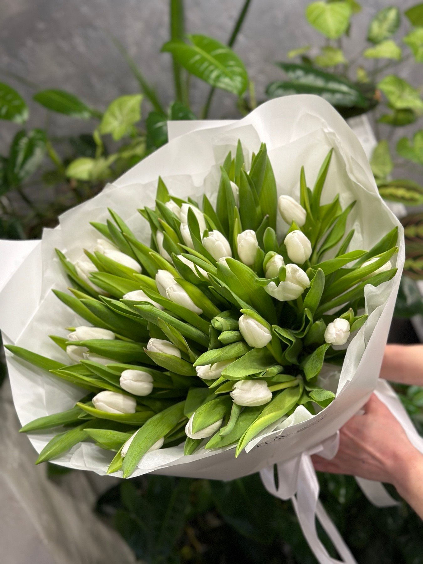 Букет з 35 або 45 білих тюльпанів «Royal Virgin»