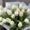 Букет з 51 або 101 піоновидних білих тюльпанів