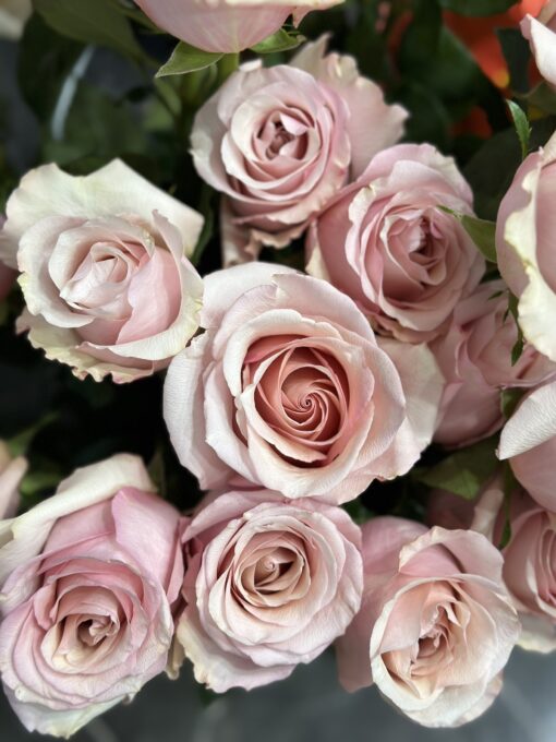 Букет з 15 або 21 троянд "Mother of Pearl" Еквадор