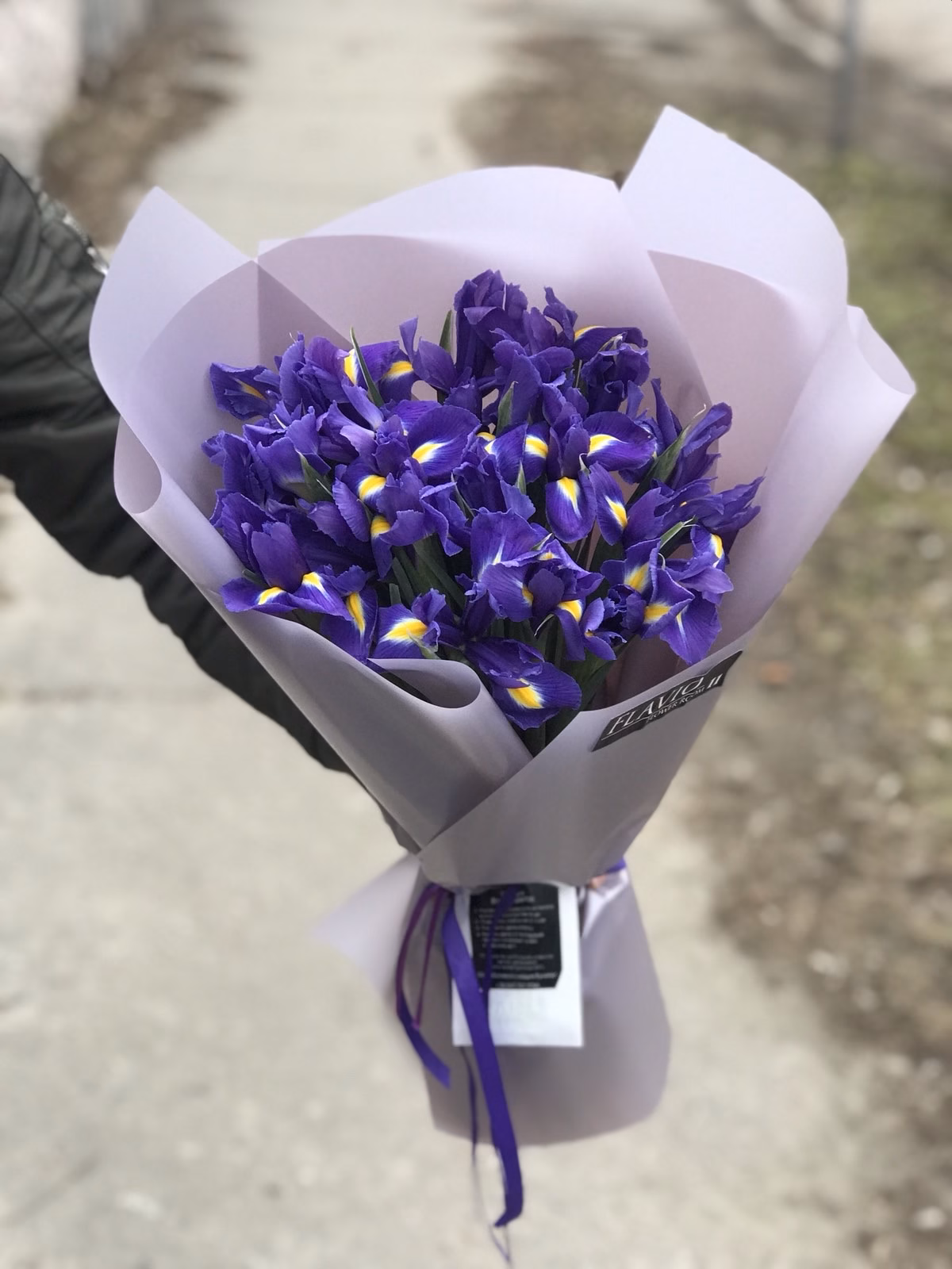 Букет з 15 або 35 синіх Ірисів
