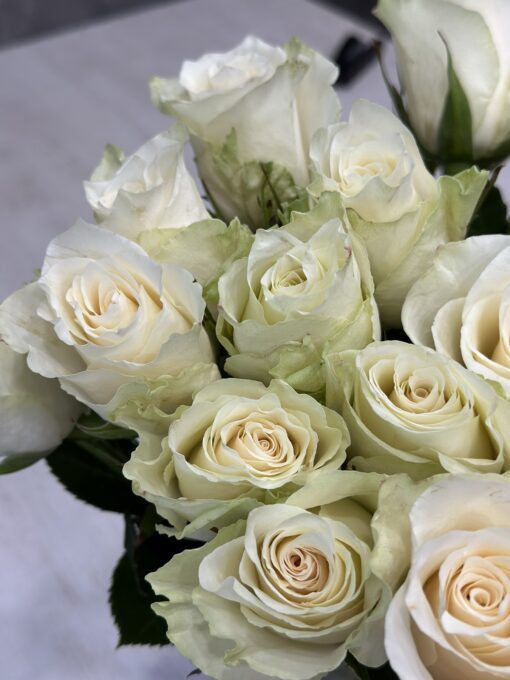 Букет з 19 білих троянд "Athena" 40 см