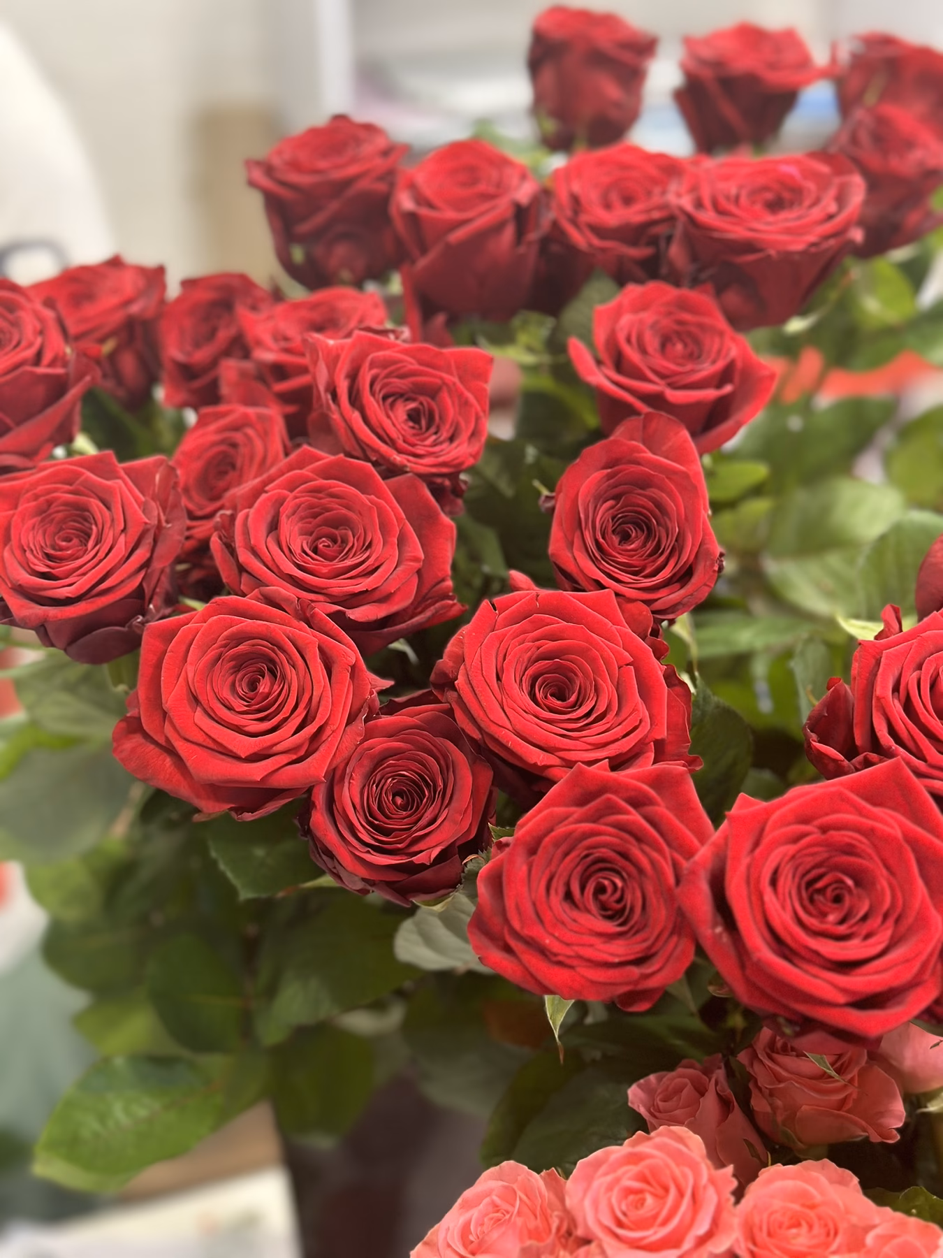Букет з 15 червоних троянд "Red Naomi" 80 см
