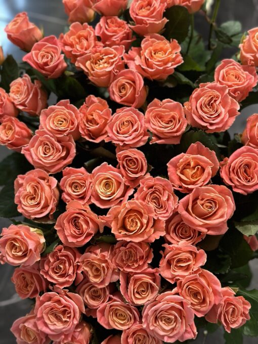 Букет з 45 коралових троянд "Міс Піггі" 90 см