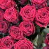 Букет з 35 або 51 червоної троянди 