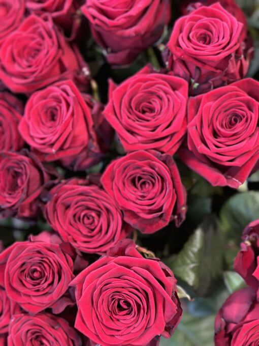 Букет з 35 або 51 червоної троянди "Red Naomi" 80 см