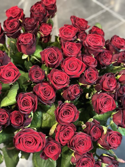 Букет з 35 або 45 червоних троянд Гран Прі 70 см