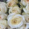 Букет з 9 або 19 білих троянд 