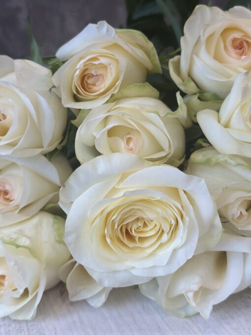 Букет з 9 або 19 білих троянд "Candlelight" Еквадор 70 см