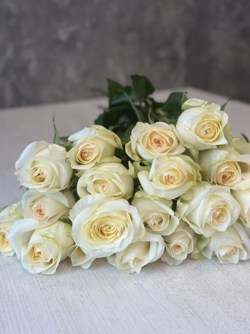 Букет з 9 або 19 білих троянд "Candlelight" Еквадор 70 см
