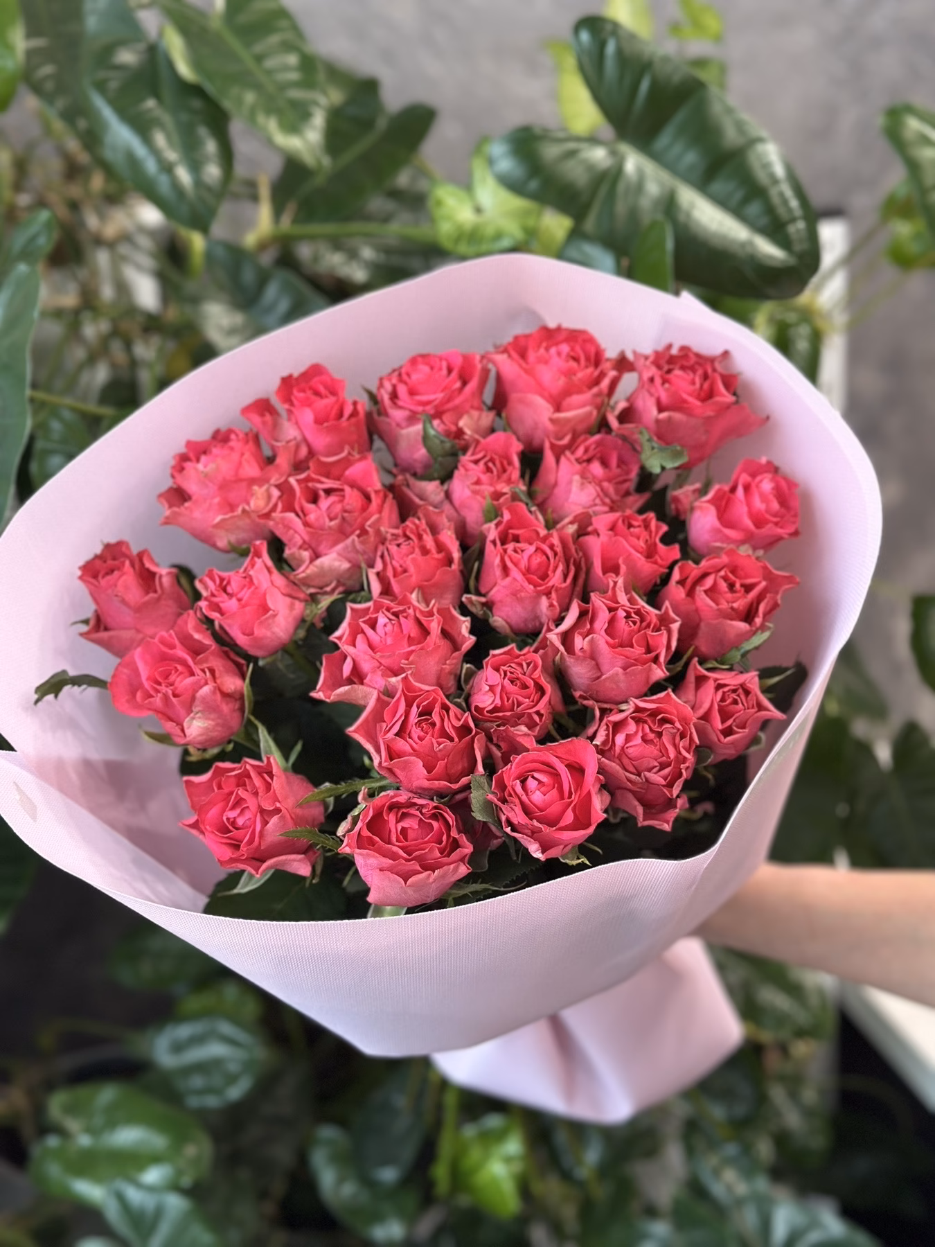 Букет з 25 малинових троянд "Roseberry" 70 см