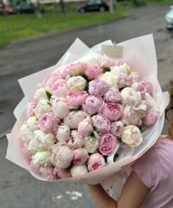 Букет з 51 біло-рожевих півоній