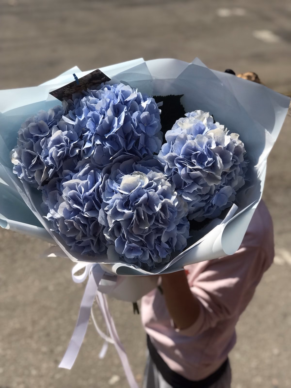 Букет Гортензій "Blue"
