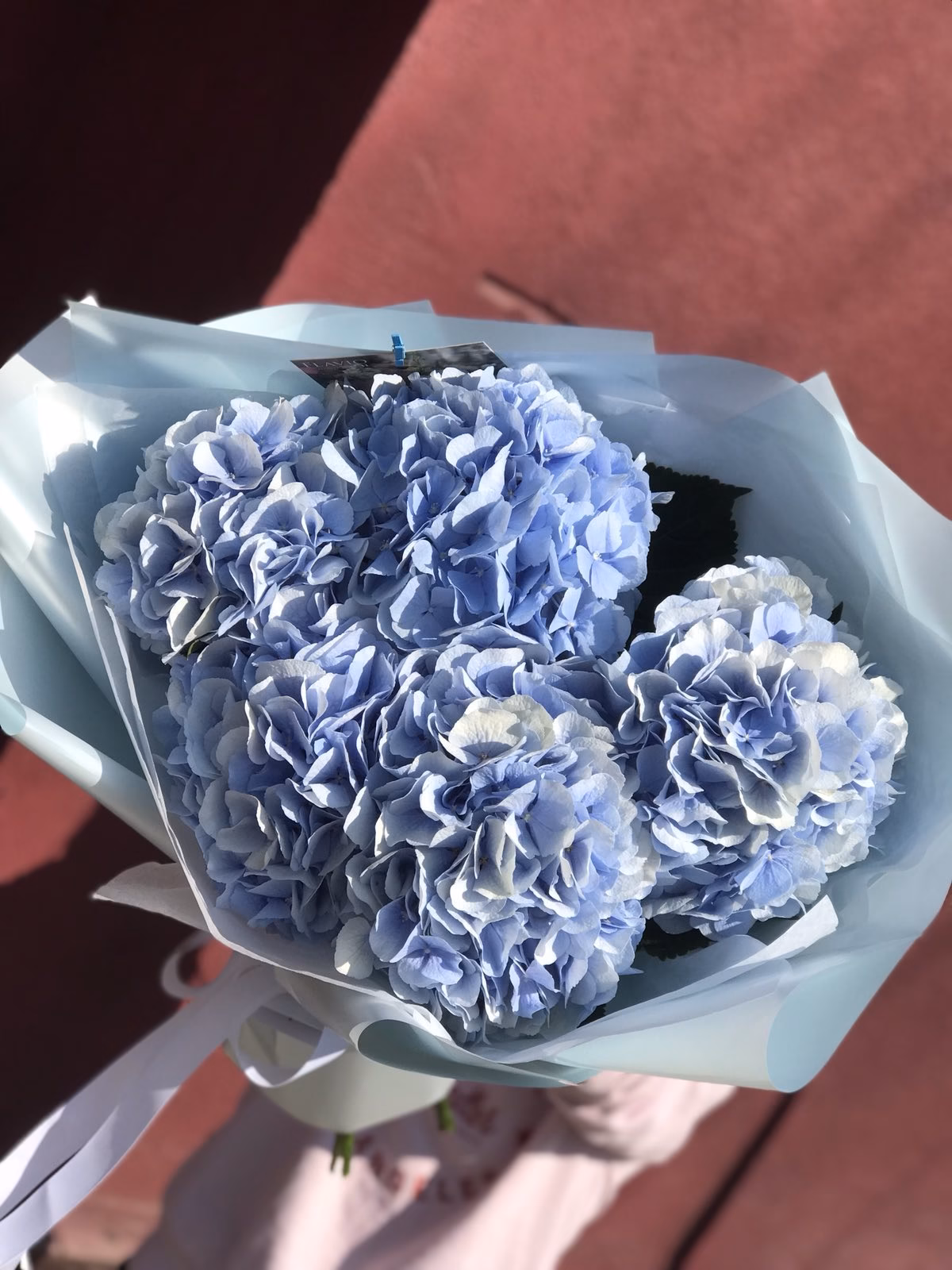 Букет Гортензій "Blue"