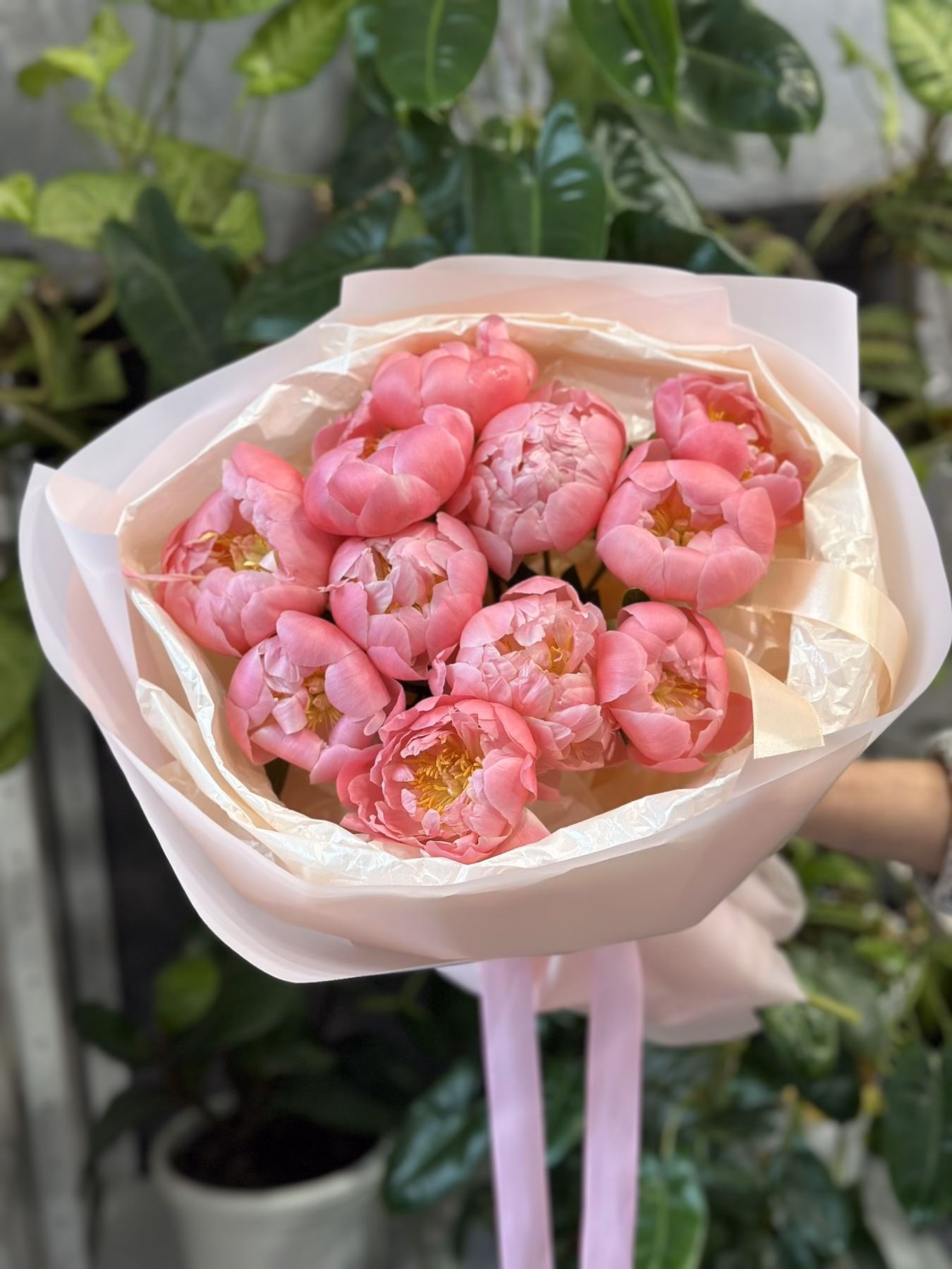 Букет з 11 півоній "Pink Hawai"